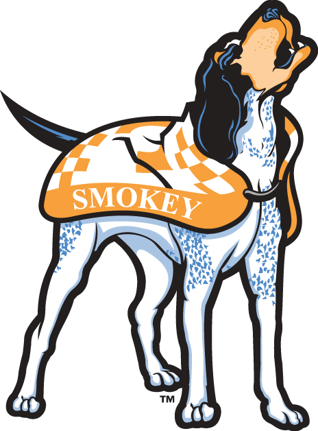 Tennessee Volunteers 2005-Pres Mascot Logo diy fabric transfers